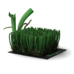 IMG_3471